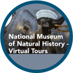 Smithsonian National Museum of Natural History Virtual Tours website